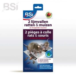 BSI   2 lijmvallen voor ratten en muizen
