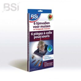 BSI   6 lijmvallen voor muizen