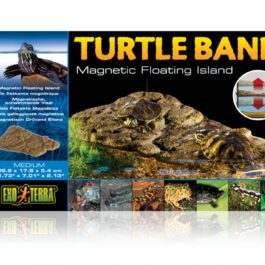 Turtle bank medium