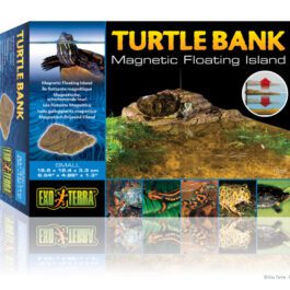 Turtle bank small