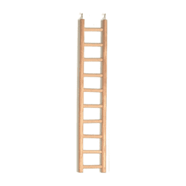 Ladder hout 10 treden klein