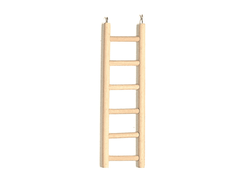 Ladder hout 6 treden klein Hobbycenter Paridaen