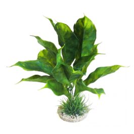 Sydeco Anubias plant 28 cm