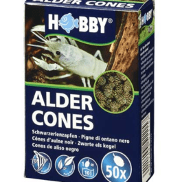 Hobby Alder Cones