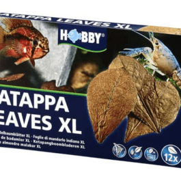 Hobby Catappa leaves XL
