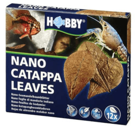 Hobby Nano catappa leaves
