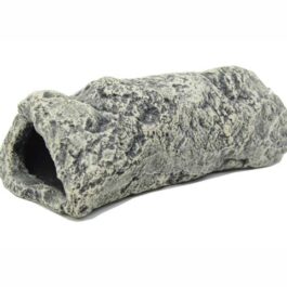 Blue belle pacific catfish stone cave grey