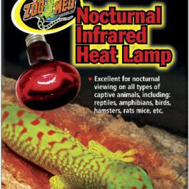 Lamp: ZooMed InfraRed Heat lamp